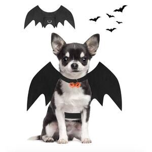 Halloween Cat / Small Dog Bat Wings Pumpkin Bell Costume Size Small Black Orange